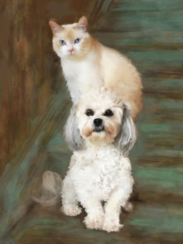 Two Portraits of a Cat and Dog in 1 Work of Art - Alicia Leeke ...